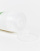 Thumbnail 3 of 4