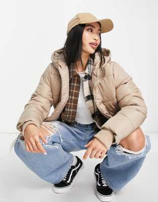 cropped padded jacket in camel-Neutral