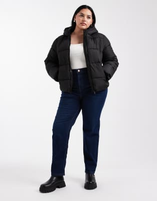 Pieces Plus Pieces Curve Padded Coat With Hood In Black