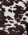 Thumbnail 3 of 5