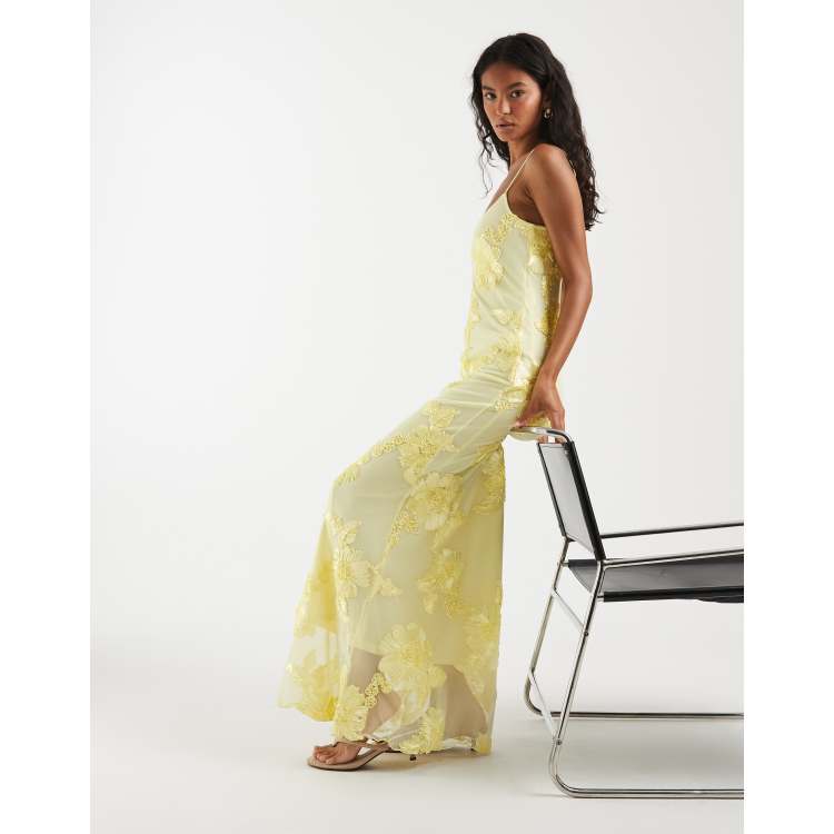 immeasurable joy embroidered mesh maxi dress VICI Embroidered Mesh Maxi Dress