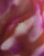 Thumbnail 5 van 5