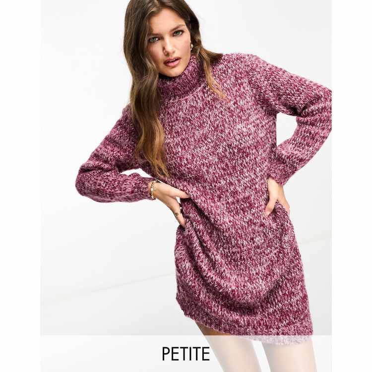 Petite best sale turtleneck dress