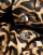 Thumbnail 3 van 4