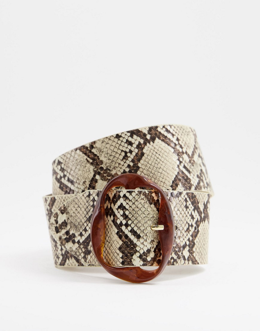 Pieces wide belt with abstract buckle in snake-Multi