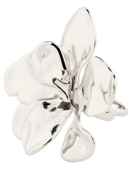 Pilgrim - Lunith - Verzilverde ring, 2 van 4
