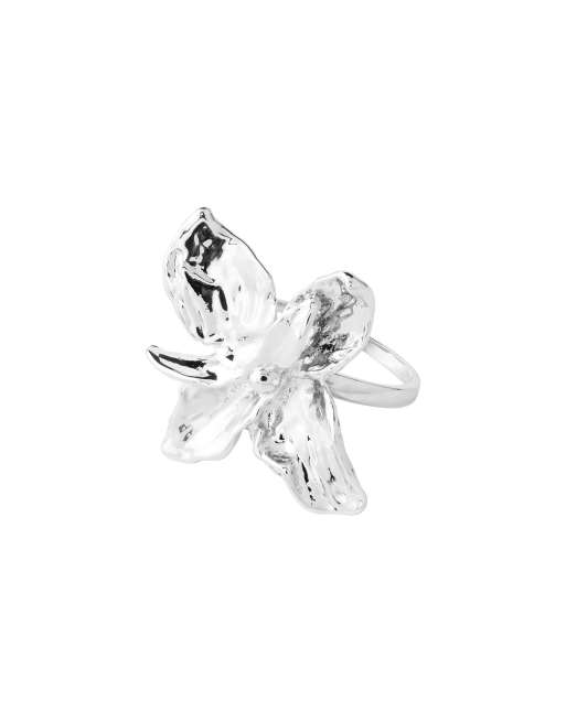 Pilgrim Ring mit Silberbeschichtung, 2 von 4