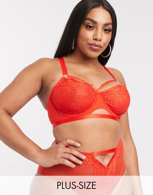 Playful Promises X Gabi Fresh mesh and strapping detail bra in red