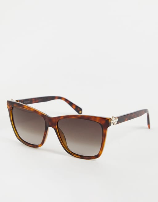 Polaroid havana clearance sunglasses