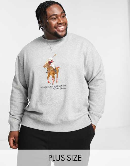 Big and shop tall pullover sweatshirts