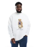 [Polo Ralph Lauren] Polo Ralph Lauren Big & Tall heritage bear print sweatshirt in white XL white