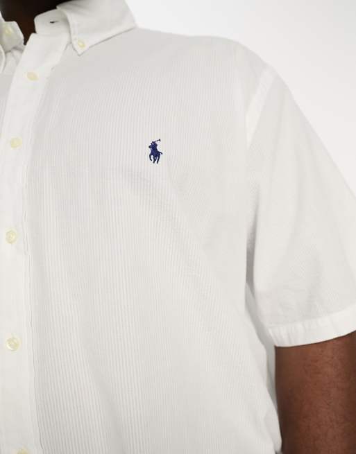 Mens big and tall 2024 ralph lauren polo shirts