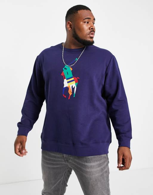 Polo store rainbow sweatshirt