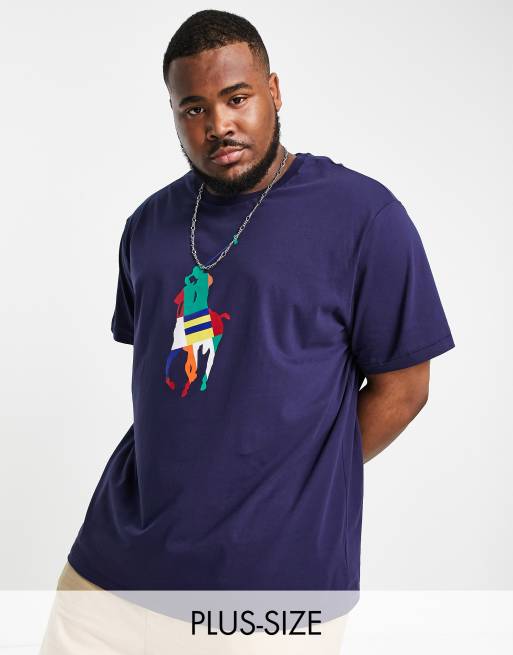 Polo Ralph Lauren Big & Tall large rainbow player logo t-shirt in navy