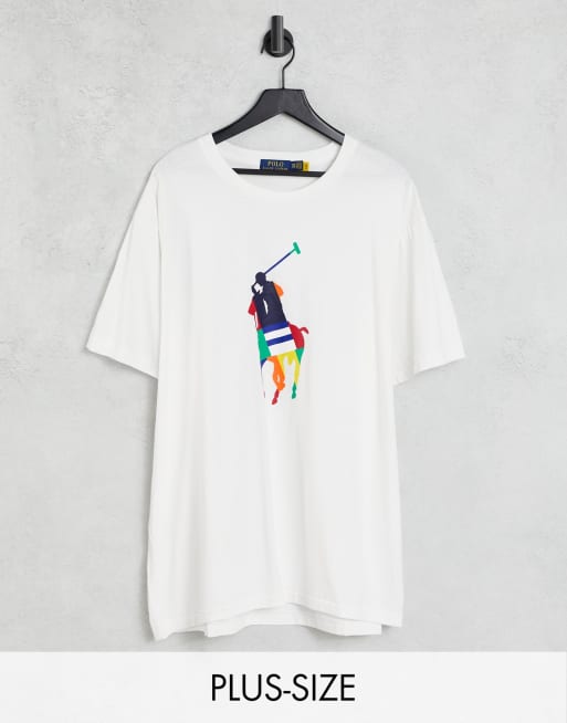 Polo Ralph Lauren Big & Tall large rainbow player logo t-shirt in white