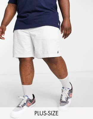 Polo Ralph Lauren Polo Ralph Lauren Big & Tall Prepster icon logo twill shorts in off white