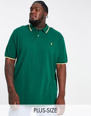 Polo Ralph Lauren Big & Tall regular fit pique polo with tipped collar in dark green