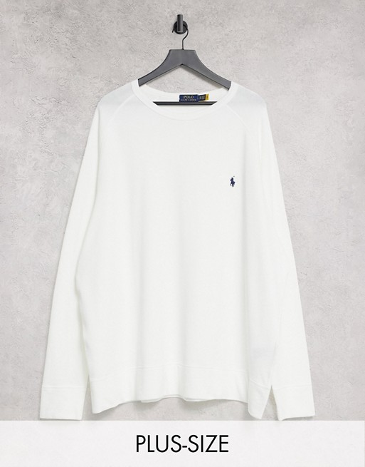 Polo Ralph Lauren Big & Tall spa terry player logo sweatshirt in white