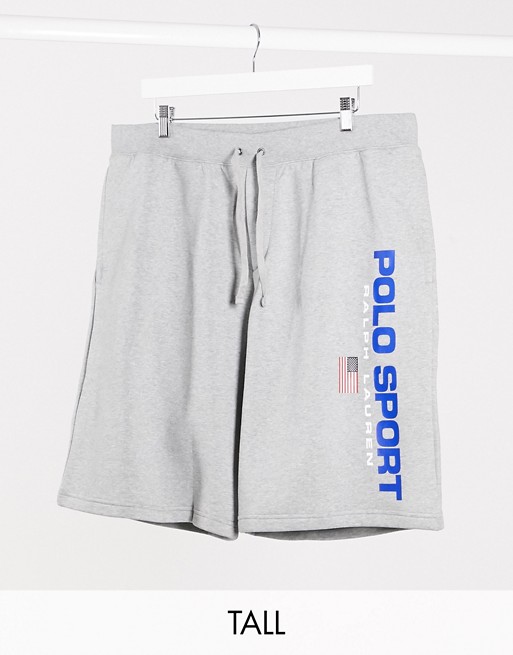 Polo Ralph Lauren Big & Tall sport capsule flag logo sweat shorts in grey marl