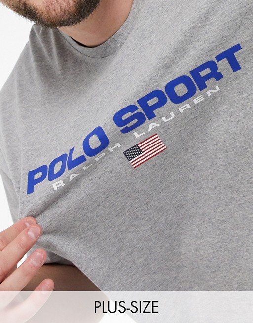 Polo Ralph Lauren Big & Tall sport capsule flag logo t-shirt in grey marl
