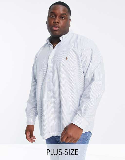 Polo best sale big oxford