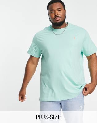 Polo Ralph Lauren Big & Tall t-shirt in light green with pony logo - ASOS Price Checker