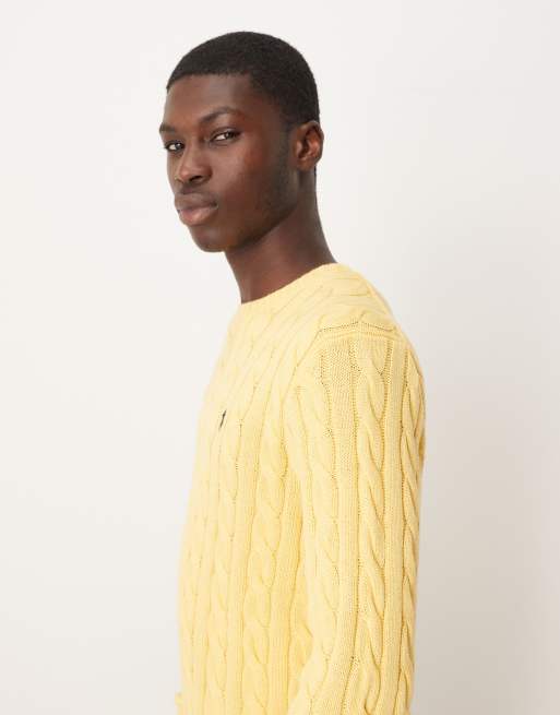Polo Ralph Lauren – Driver – Strickpullover aus Baumwolle in Gelb mit Markenlogo und Zopfmuster, 5 von 5