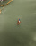 Miniaturebillede 3 af 4