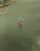 Miniaturebillede 3 af 4