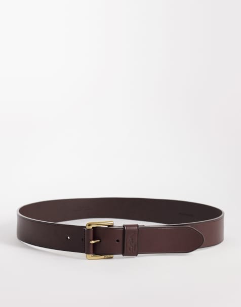 Polo Ralph Lauren icon logo leather belt in brown - view 1