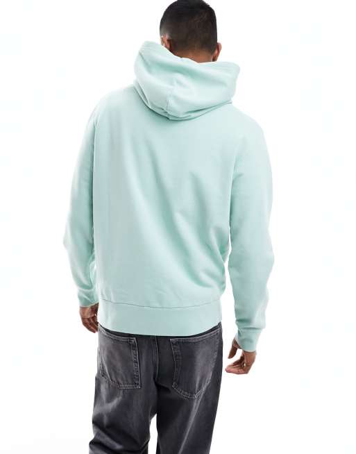 Polo Ralph Lauren icon logo loopback terry hoodie in light green