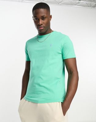 Polo Ralph Lauren icon logo t-shirt custom fit in light green - ASOS Price Checker