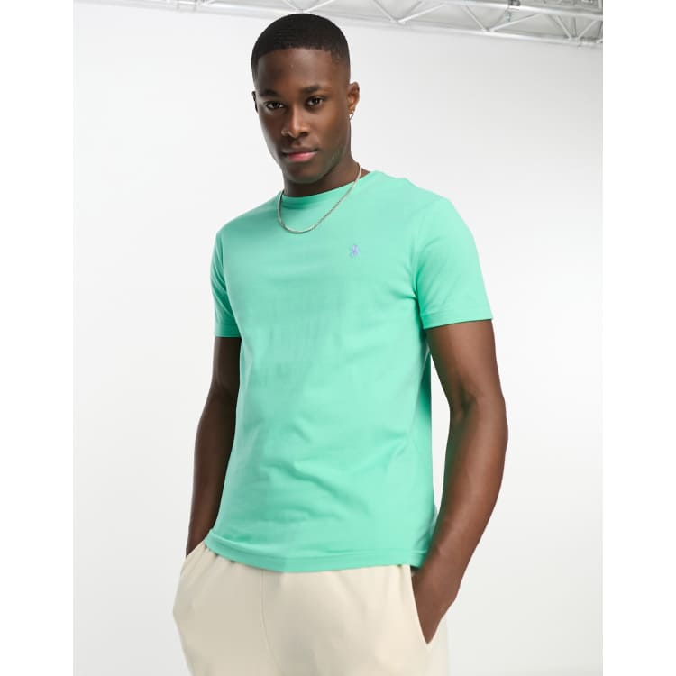 Polo Ralph Lauren icon logo t shirt custom fit in light green