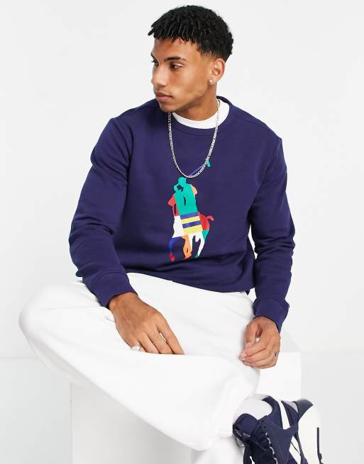 Polo ralph store lauren rainbow sweatshirt