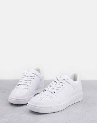 new polo sneakers