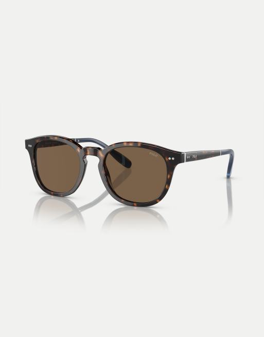 Polo Ralph Lauren - Ph4206 - Lunettes de soleil pantos avec verres marron et monture écaille de tortue foncée brillante 