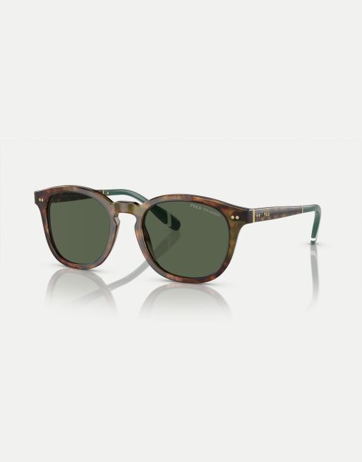 Polo Ralph Lauren – Ph4206 Phantos – Sonnenbrille in glänzendem Schildpattbraun mit polarisierten grünen Gläsern 