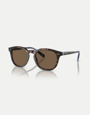 Polo Ralph Lauren Ph4206 phantos sunglasses with brown lens in shiny dark havana