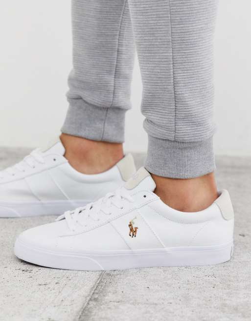 Polo Lauren sayer canvas sneaker with multi polo player in white | ASOS