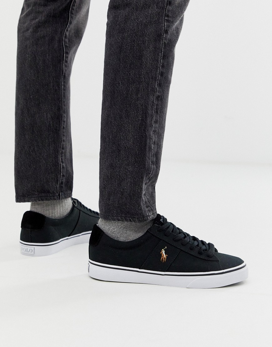 Polo Ralph Lauren - Sayer - Sneakers di tela nere con logo multi-Nero