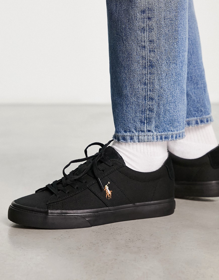Polo Ralph Lauren sayer trainer in black with pony logo