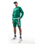 [Polo Ralph Lauren] Polo Ralph Lauren Sport capsule large flag logo sweat shorts in mid green (part of a set) L Mid Green