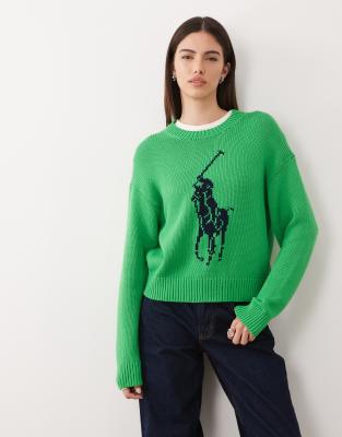 Polo Ralph Lauren - Strickpullover aus Baumwolle in Palmengrün mit großem Markenlogo
