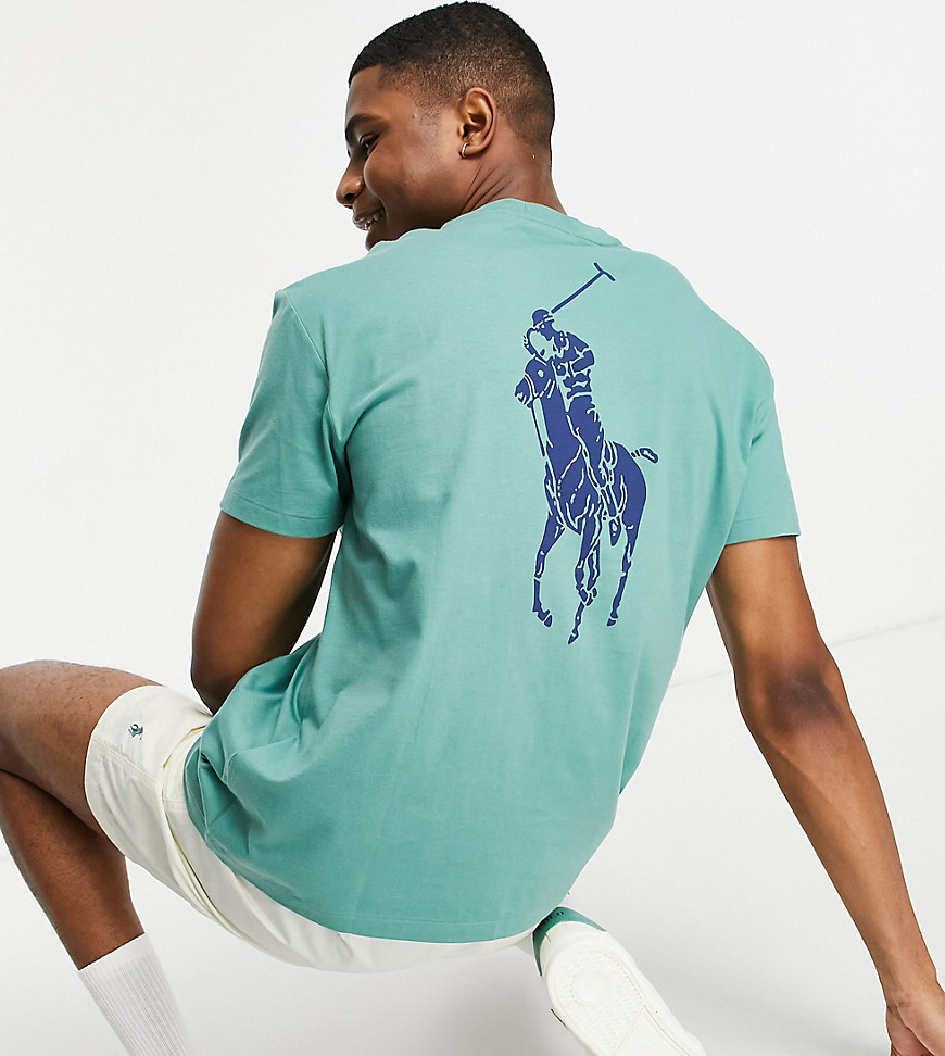 Polo Ralph Lauren x ASOS exclusive collab t-shirt in green with backprint pony logo