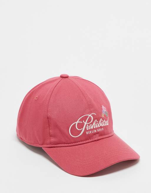 Prohibited - Pet in vintage rood