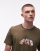 Thumbnail 5 von 5