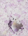 Miniaturebillede 2 af 4