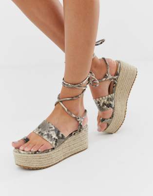 snake flatforms