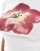 Thumbnail 4 van 4