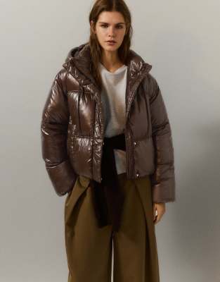 Pull & Bear Cropped Puffer Jacket With Hood In Brown